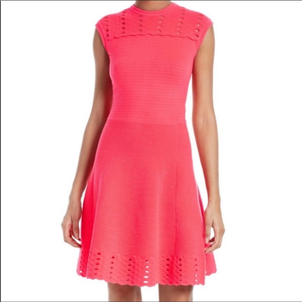 NWT Ted Baker Zaralie skater dress